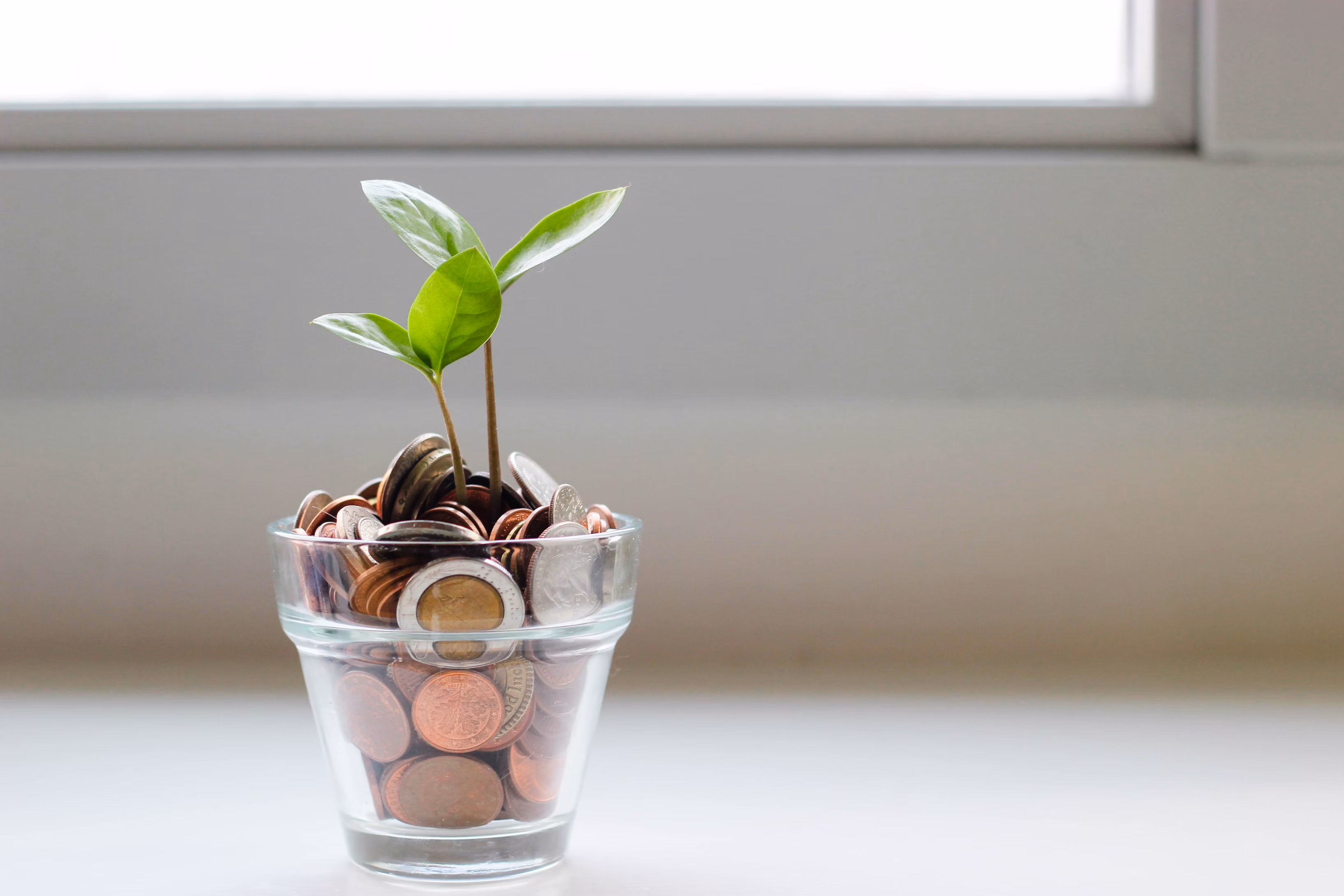 Wealthsimple Referral Code (2026): Get Your Free Cash Bonus